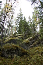 Tyypillistä maastoa seuran mailla.