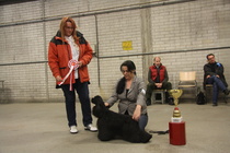 2013 Näyttelyn voittaja